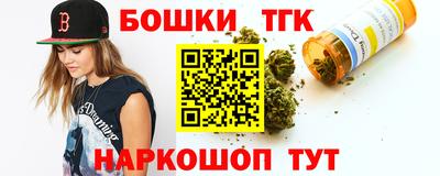 индика Обь